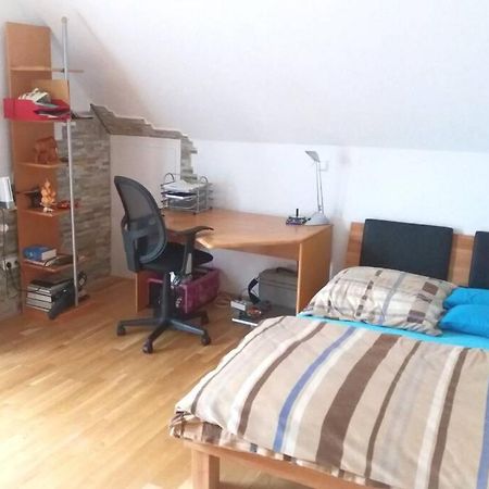 Neue, Helle Wohnung In Ludwigsburg, Nah Am Schloss Екстер'єр фото